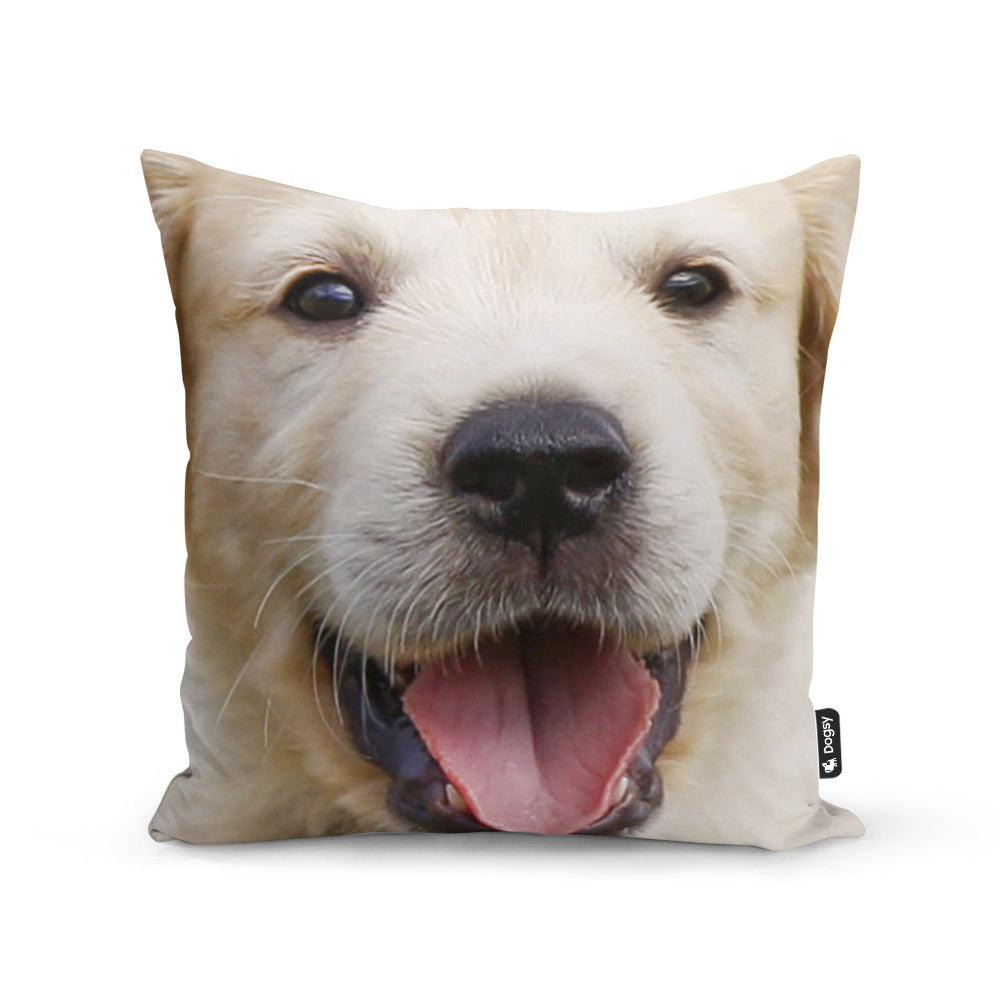 My Dog On A Cushion