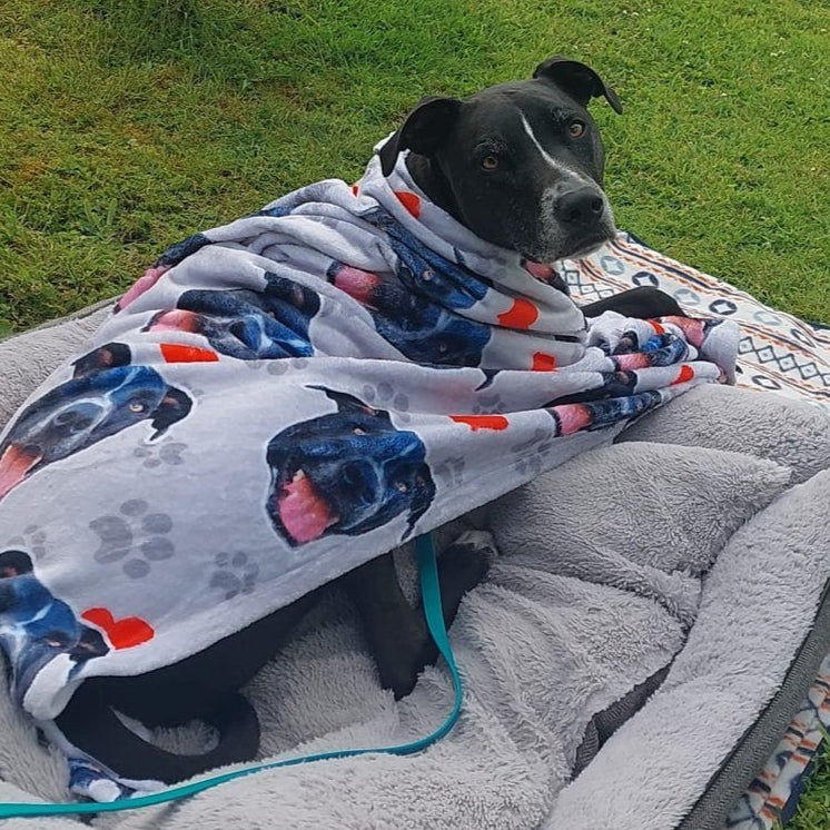 Paws and Hearts Personalized Blanket