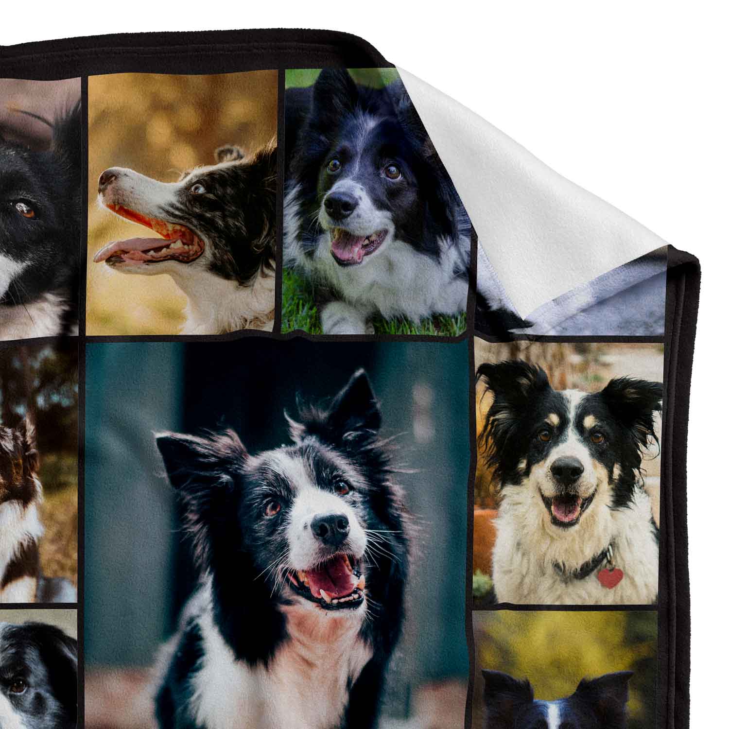 Blanket with collage of border collie dogs in various poses