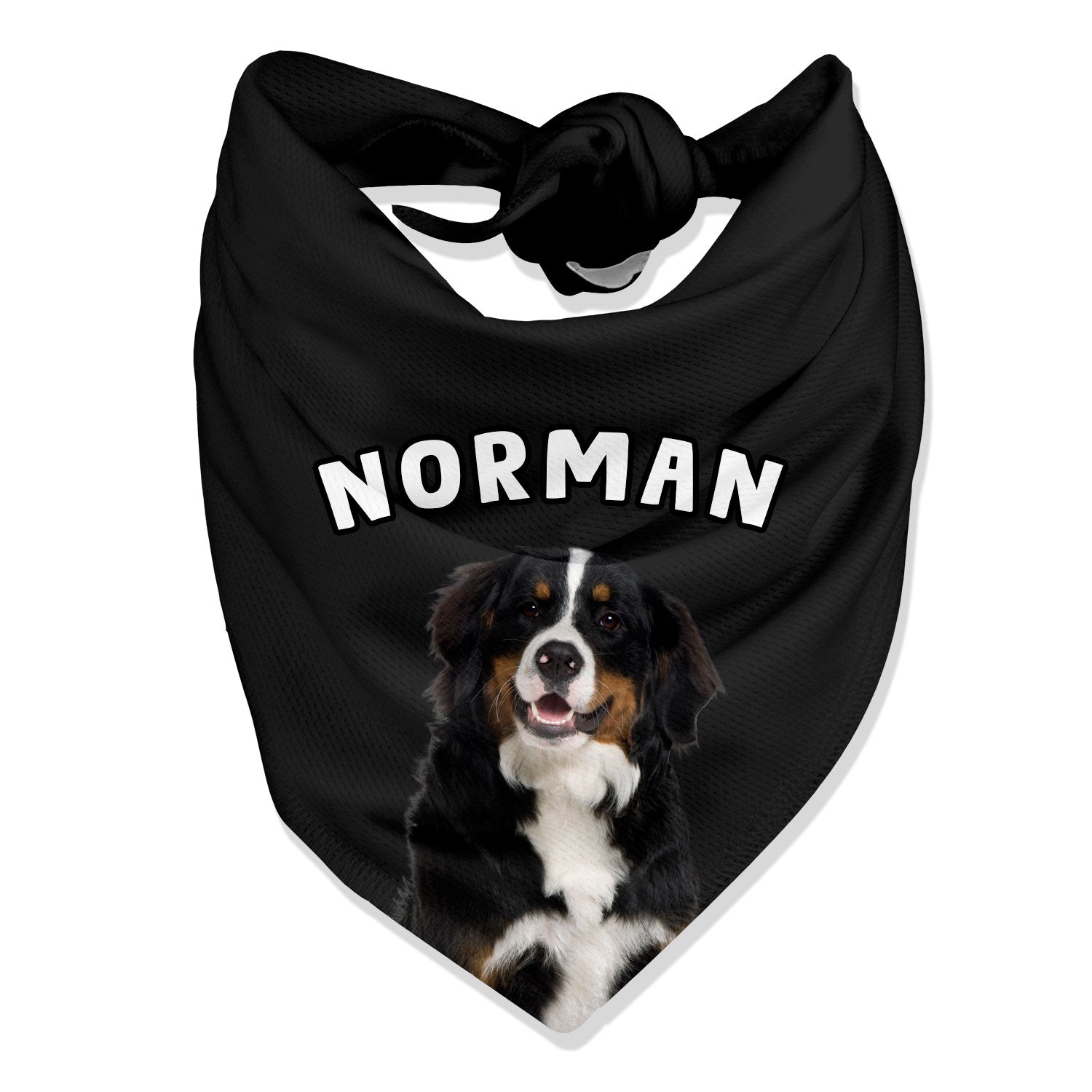 Personalized Name Dog Bandana