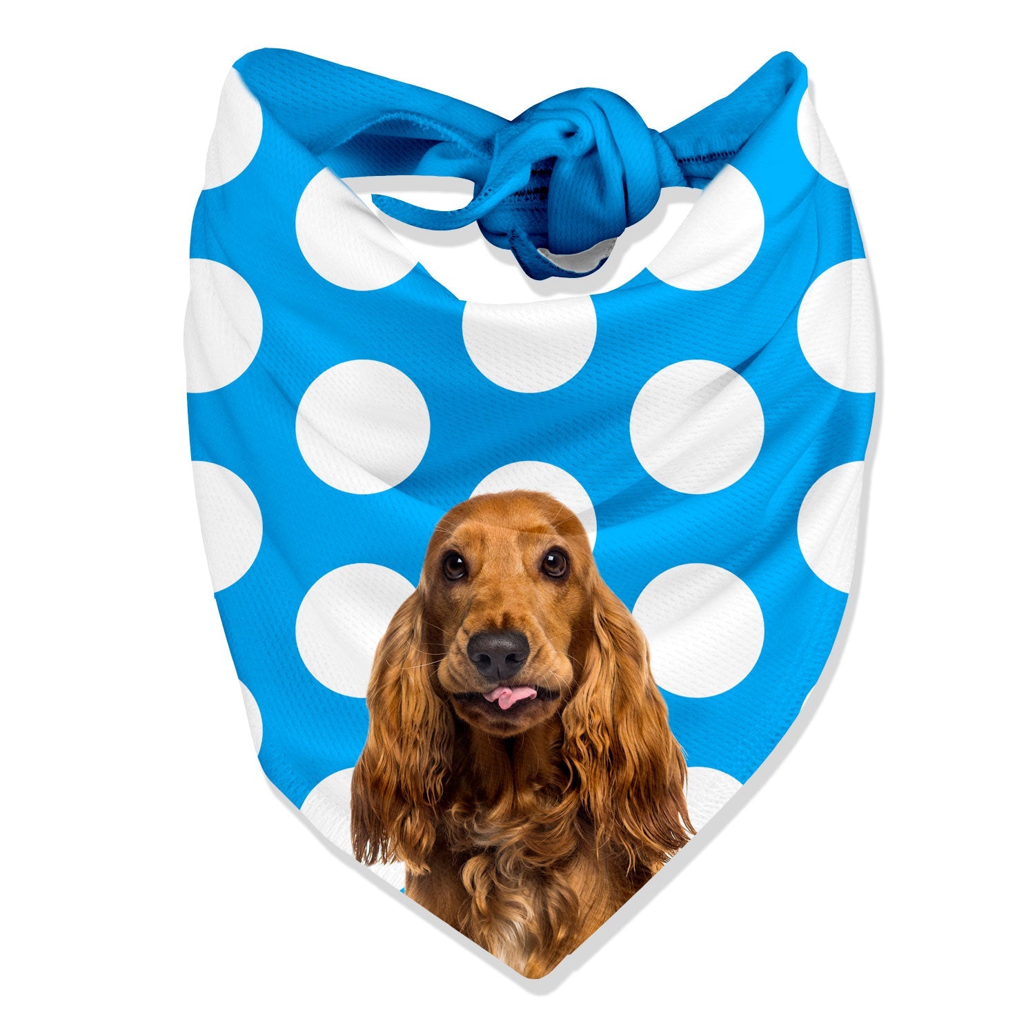 Dogzy Spotty Personalized Dog Bandana