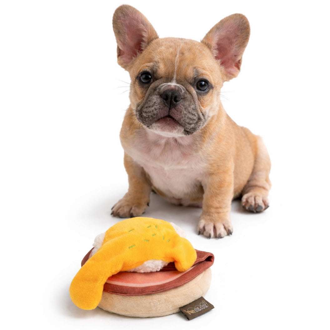 Small dog with a toy resembling a hot dog on a white background