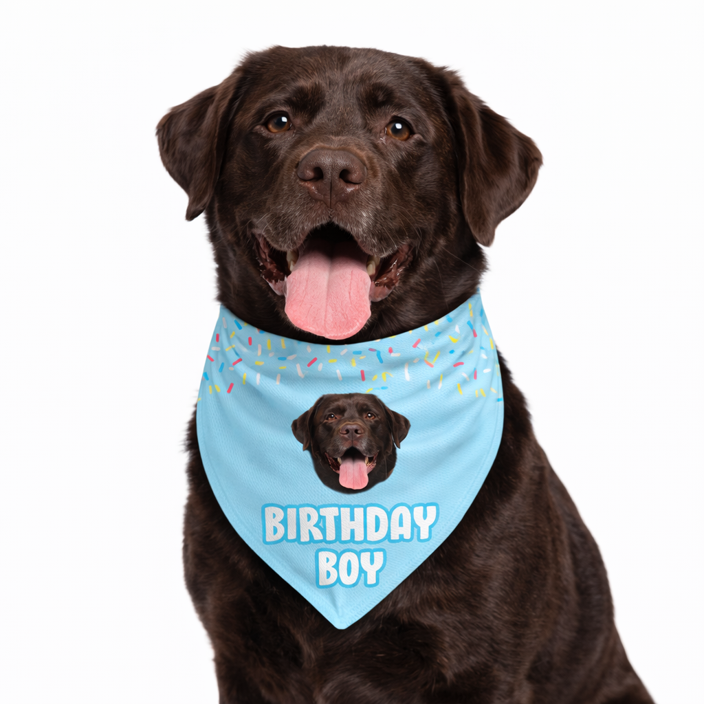 Birthday Boy Personalized Dog Bandana
