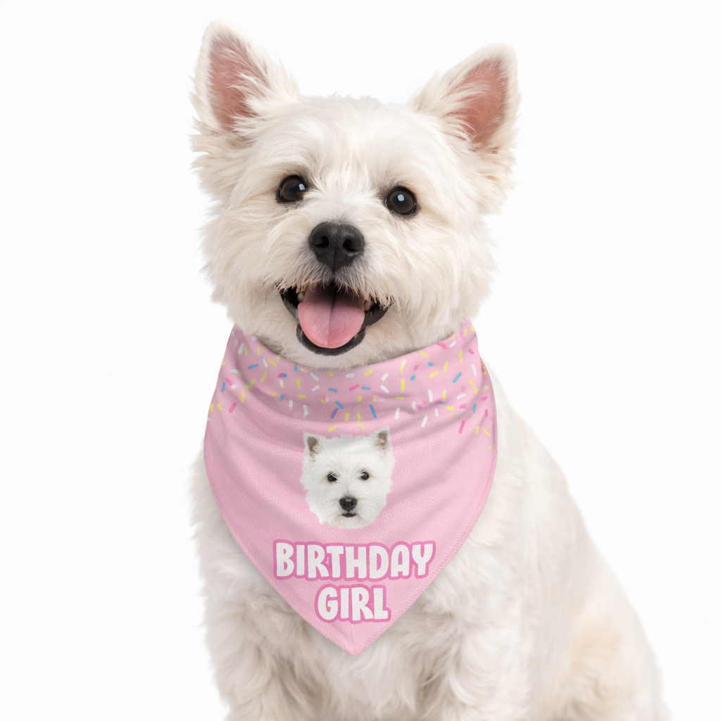 Birthday Girl Personalized Dog Bandana