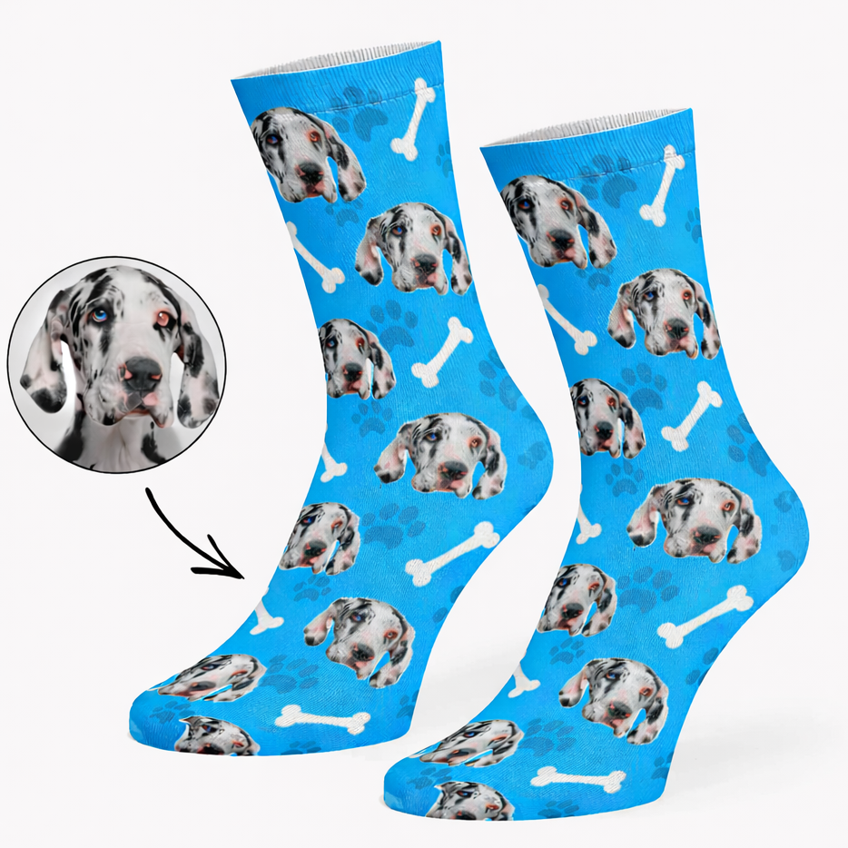 Your Dog on Socks