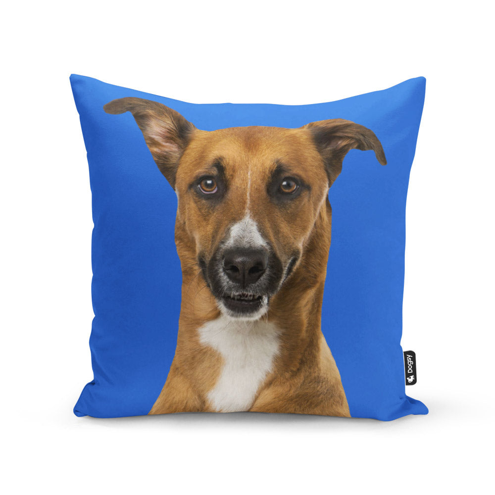 Personalized Dog Cushion