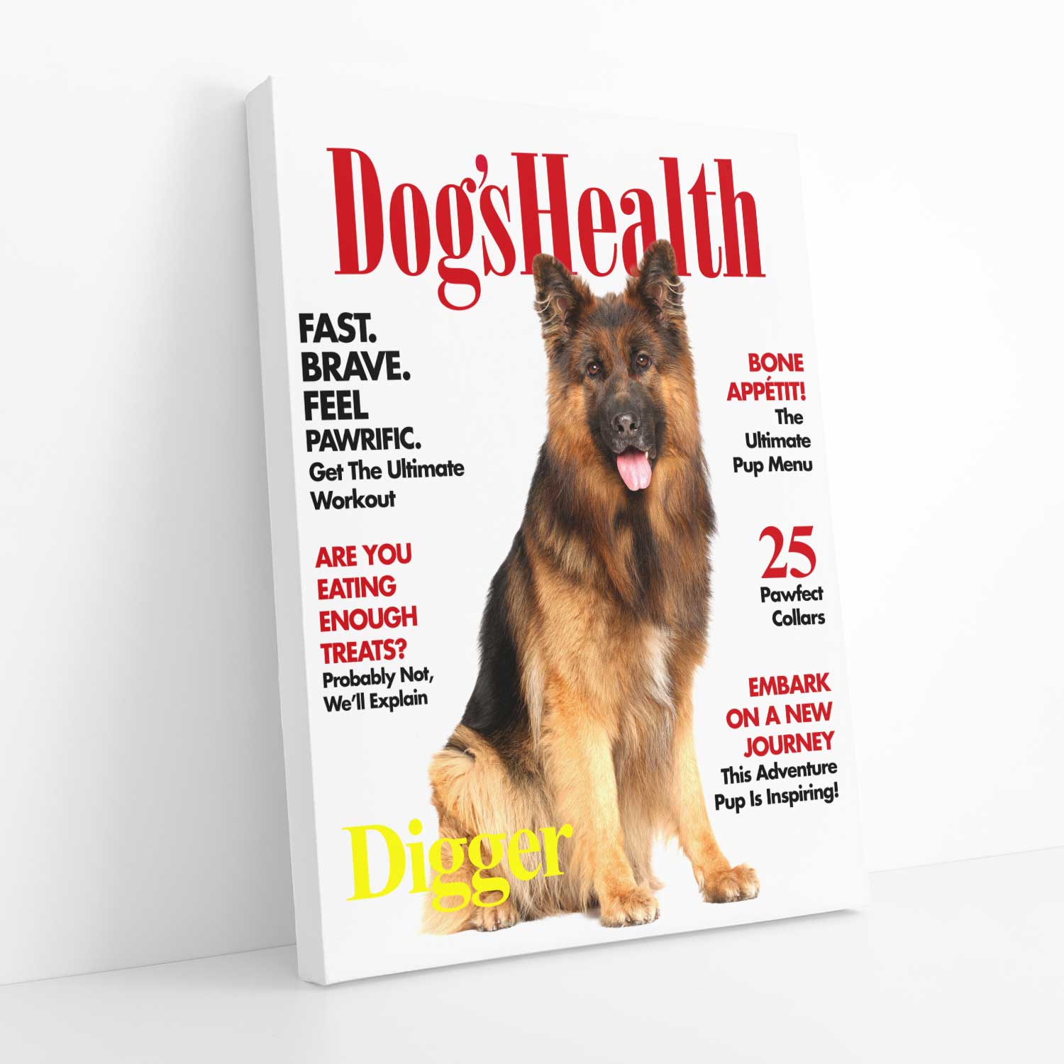 Dogs Health Photo Canvas
