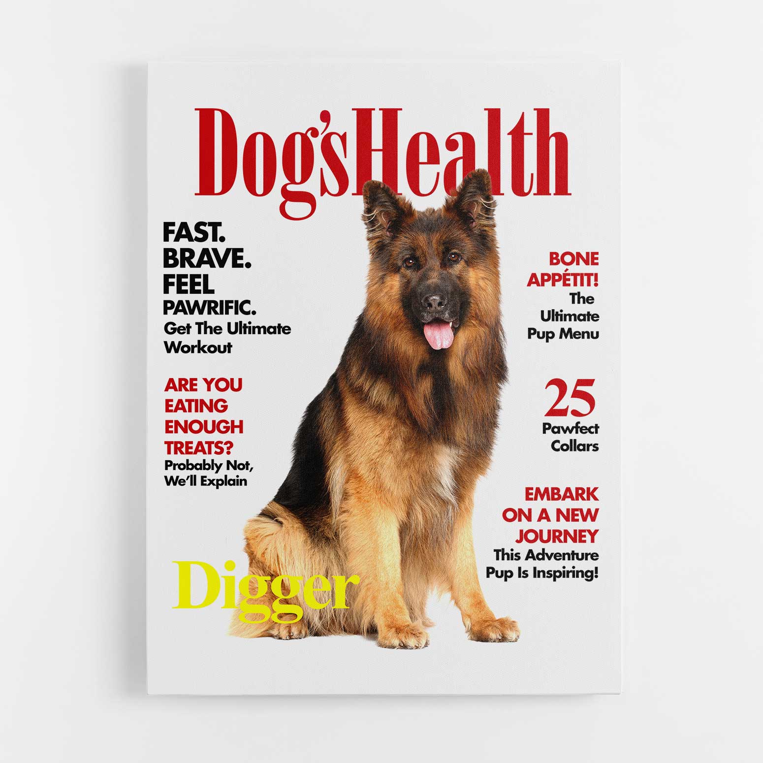 Dogs Health Photo Canvas