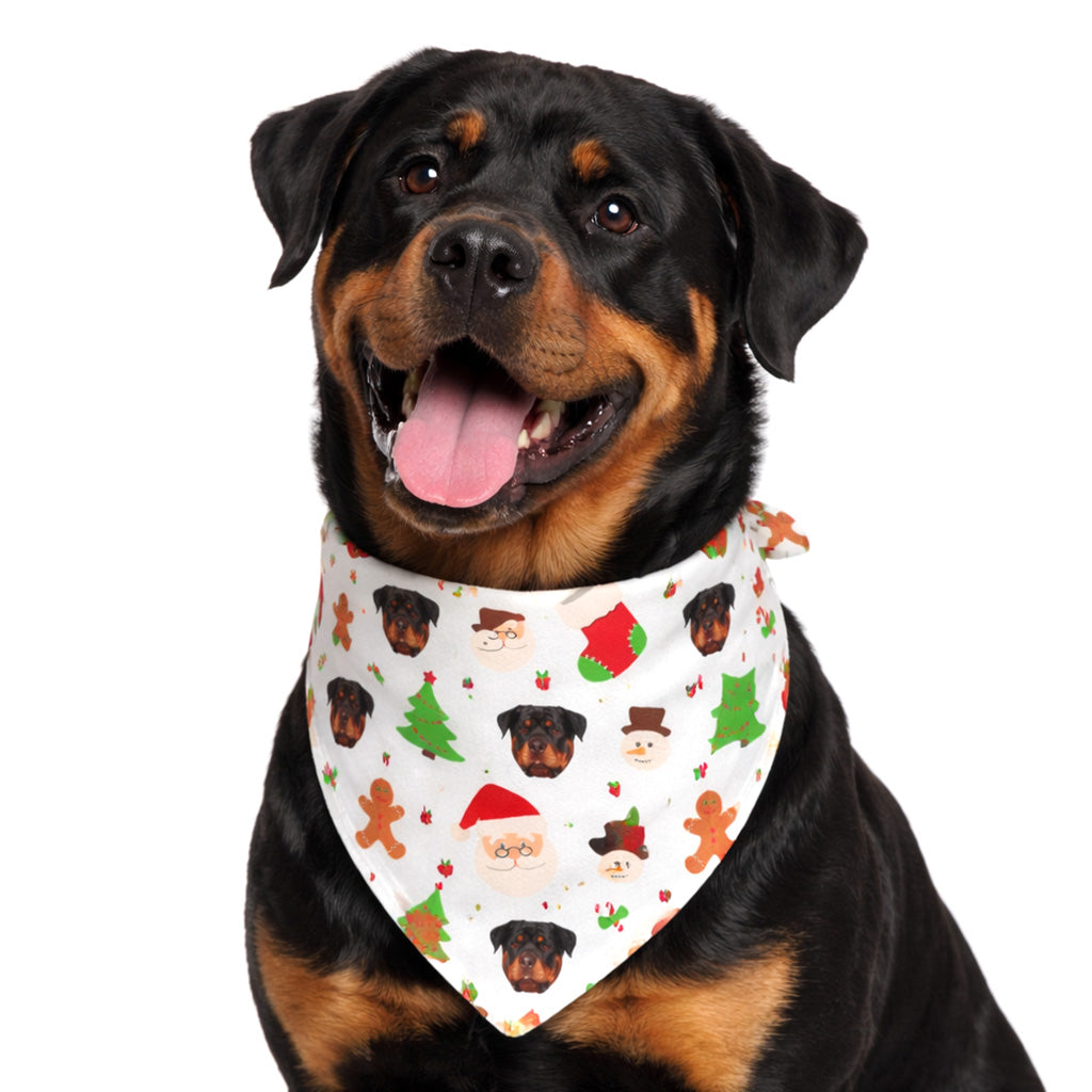 Christmas Reindeer Personalized Dog Bandana