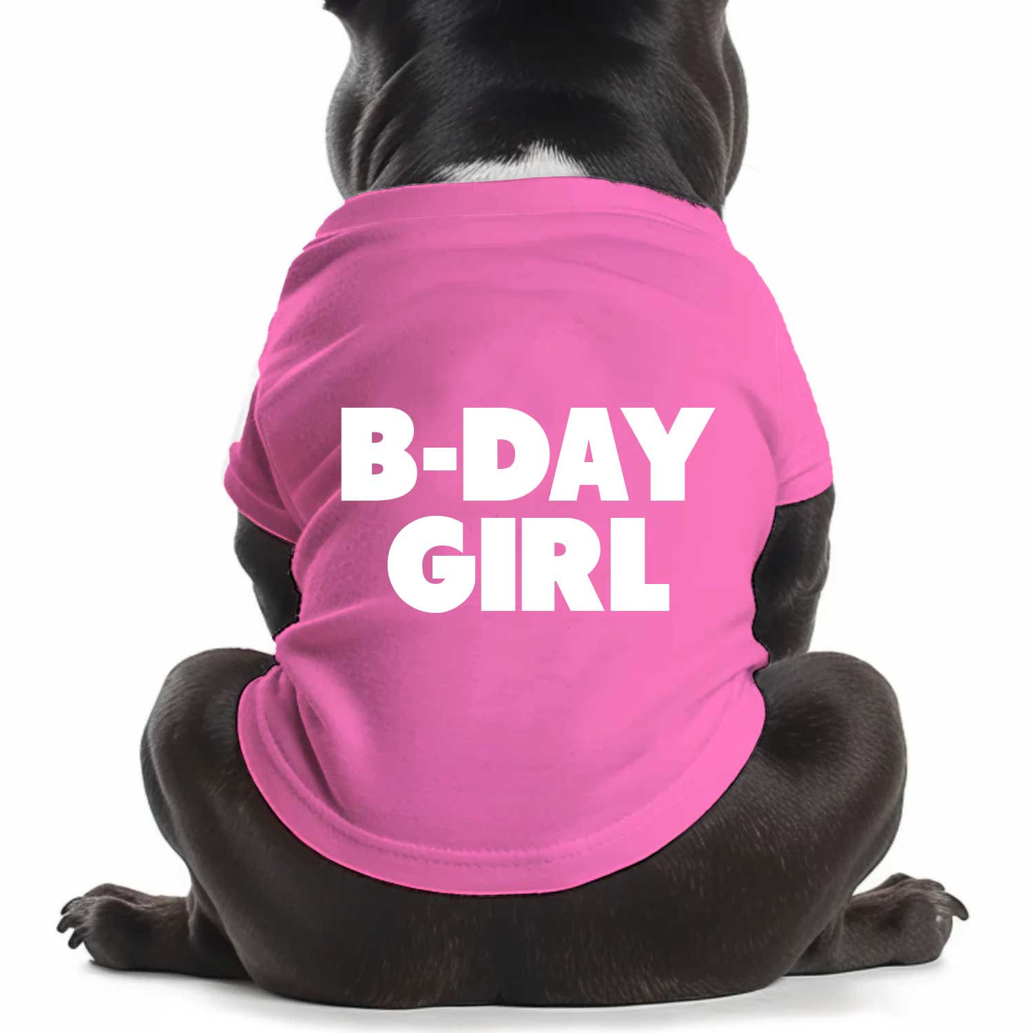 B-Day Girl Dog T Shirt