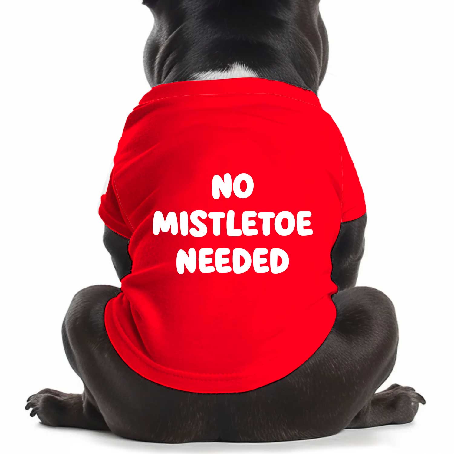 No Mistletoe Needed Dog T Shirt