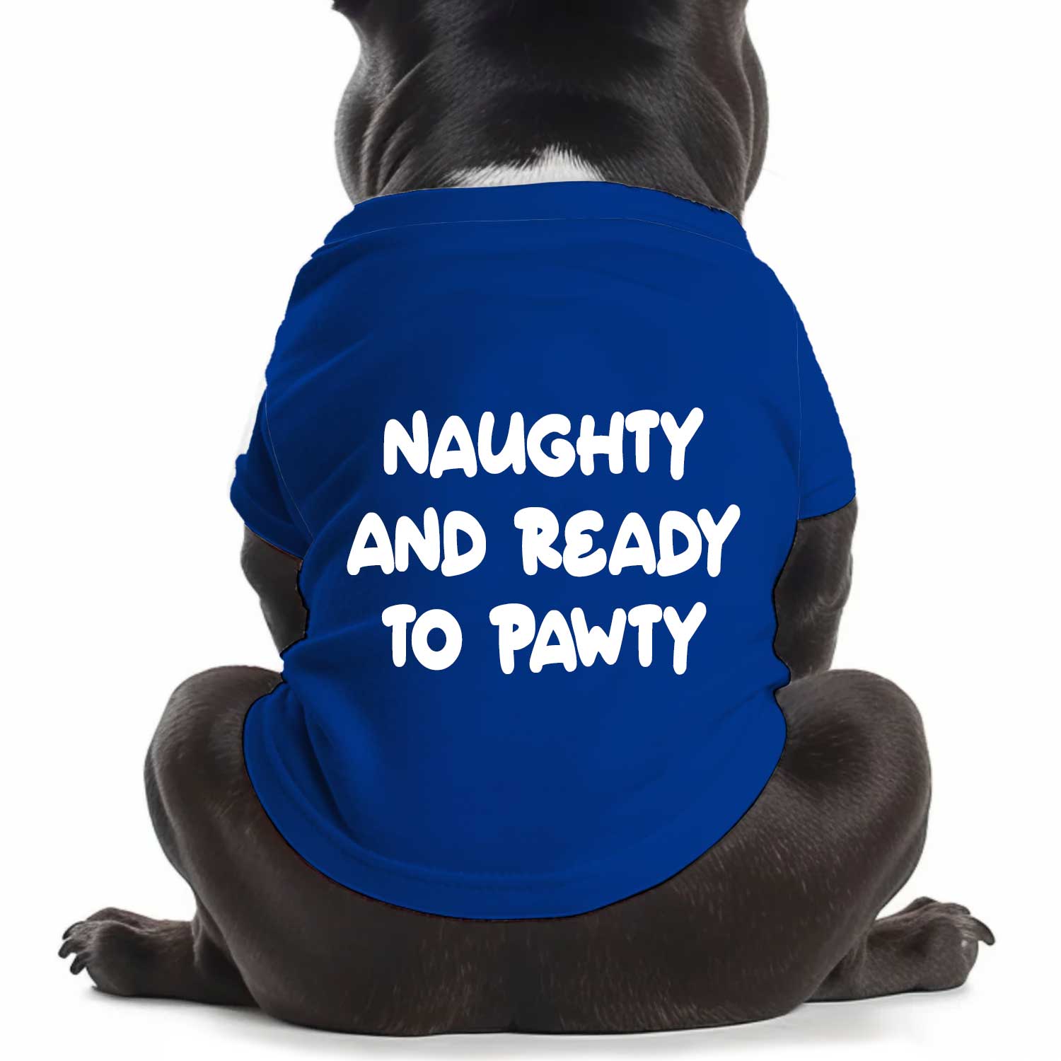 Naughty & Ready To Pawty Dog T Shirt