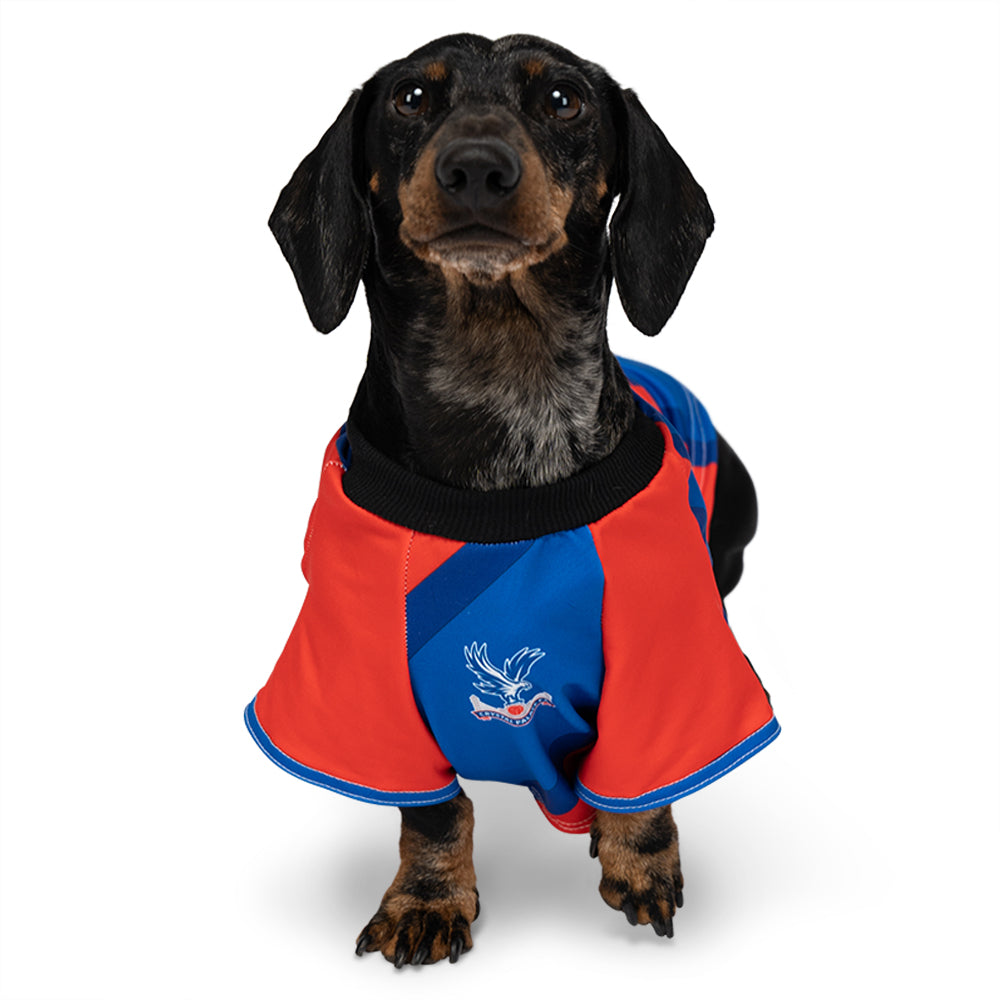 Crystal Palace Personalized Dog Shirt