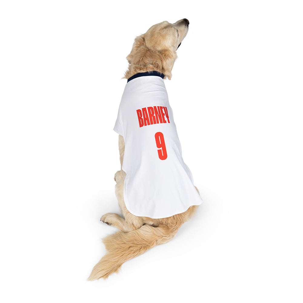 Personalized England Dog Shirt