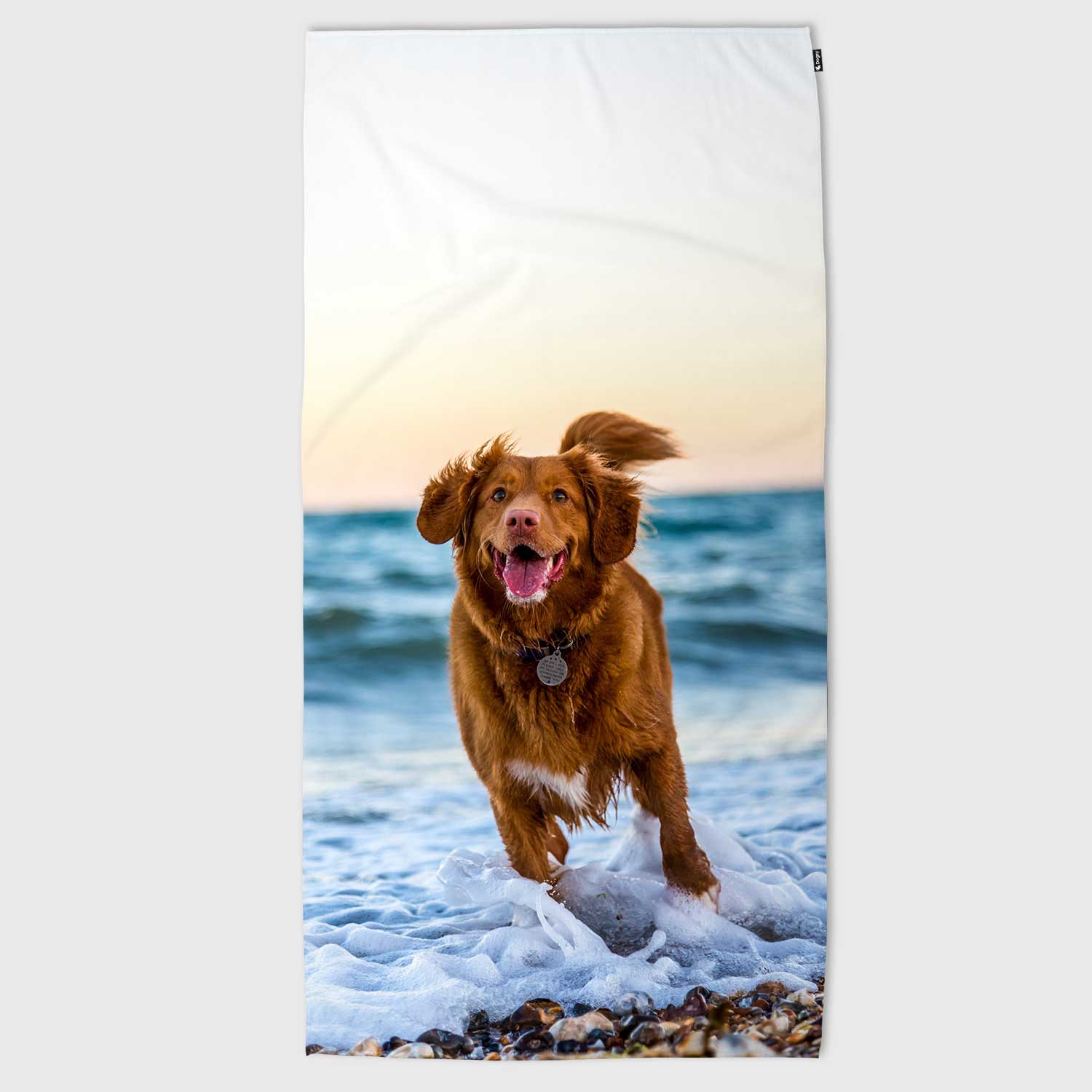 All Over Full Portrait Photo Personalized Dog Towel