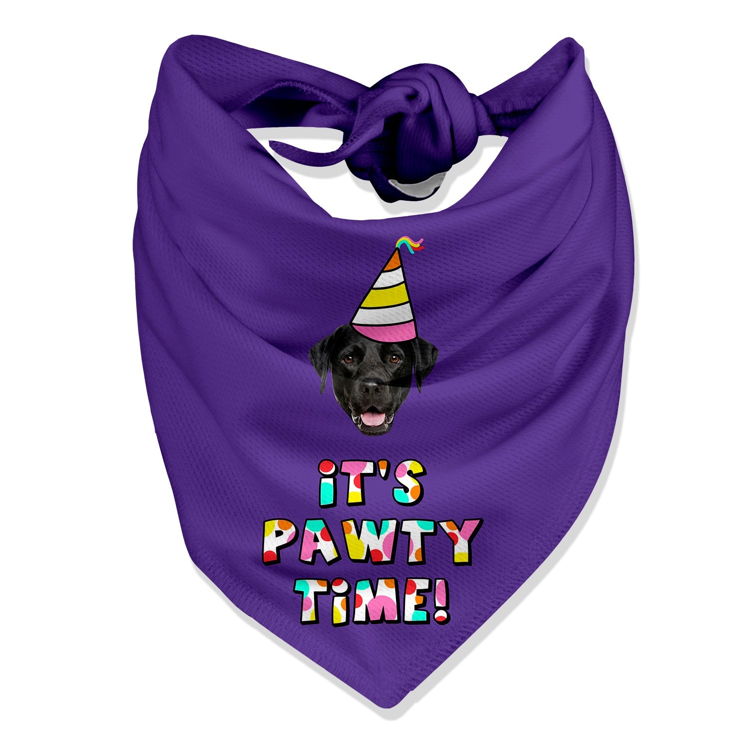 birthday personalized dog bandana