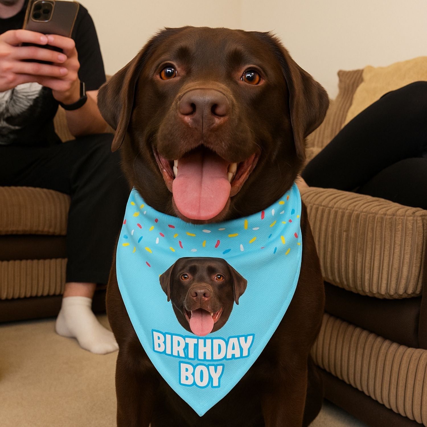 Birthday Boy Personalized Dog Bandana