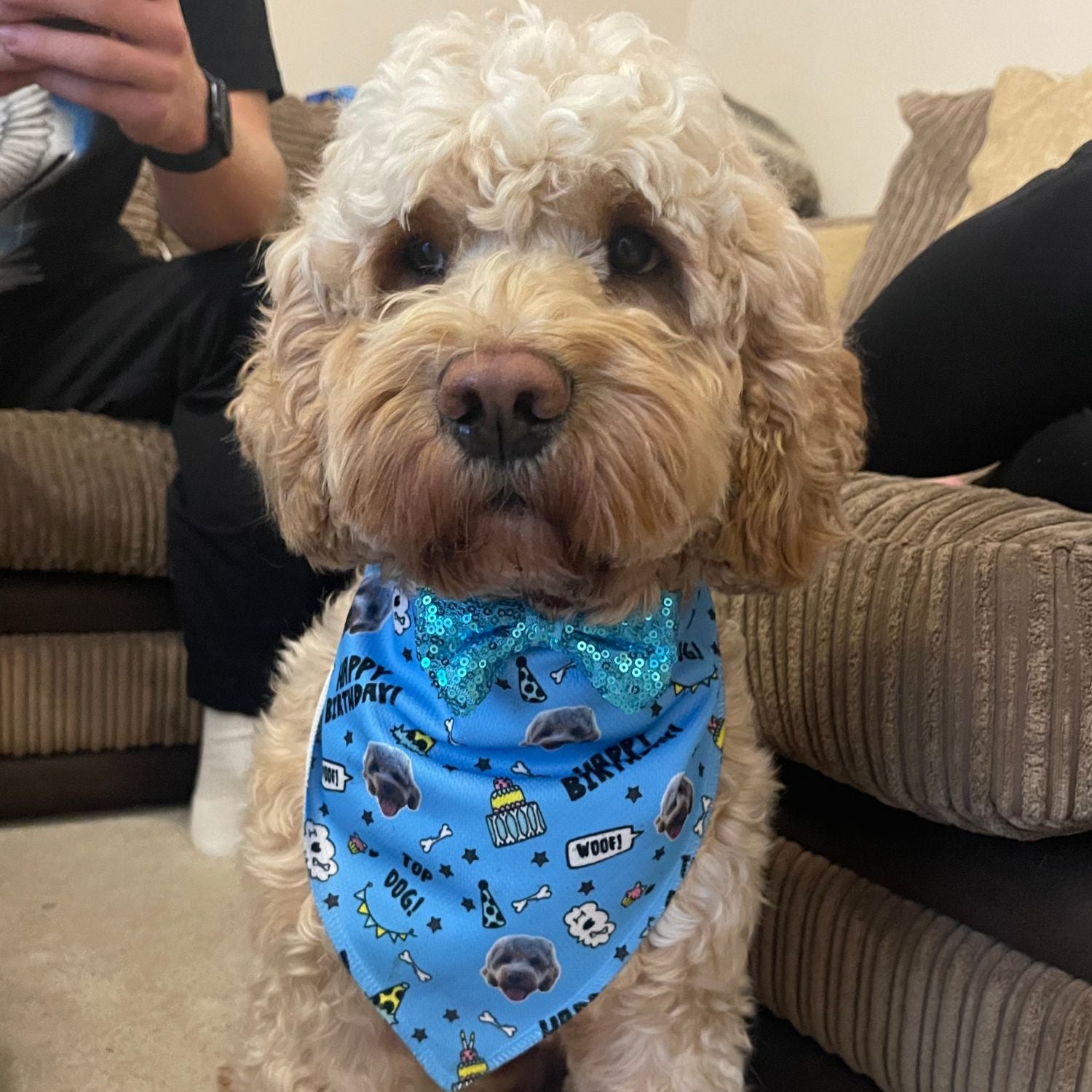 Top Dog Personalized Birthday Bandana
