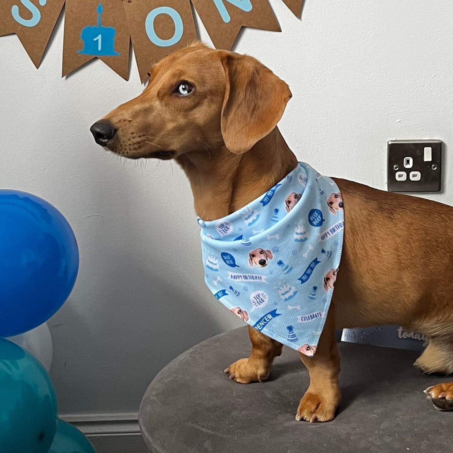 Happy Birthday Personalized Dog Bandana
