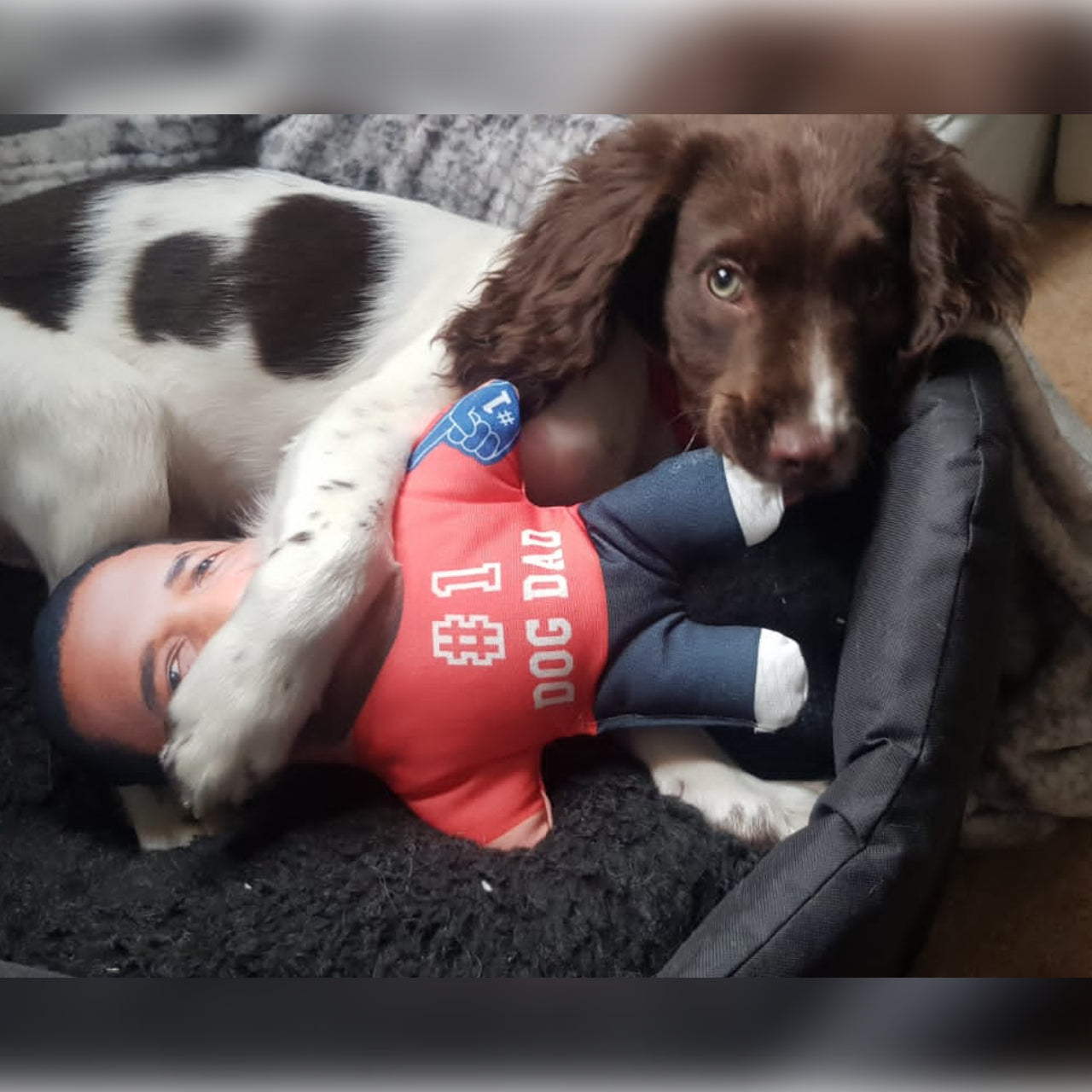 Personalized Number 1 Dog Dad Dog Toy