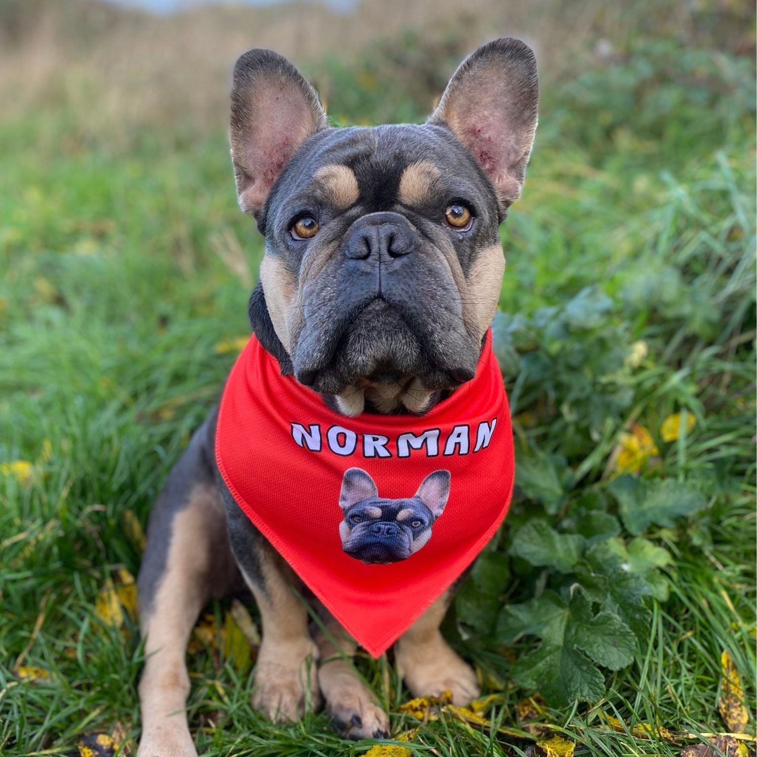 Personalized Name Dog Bandana