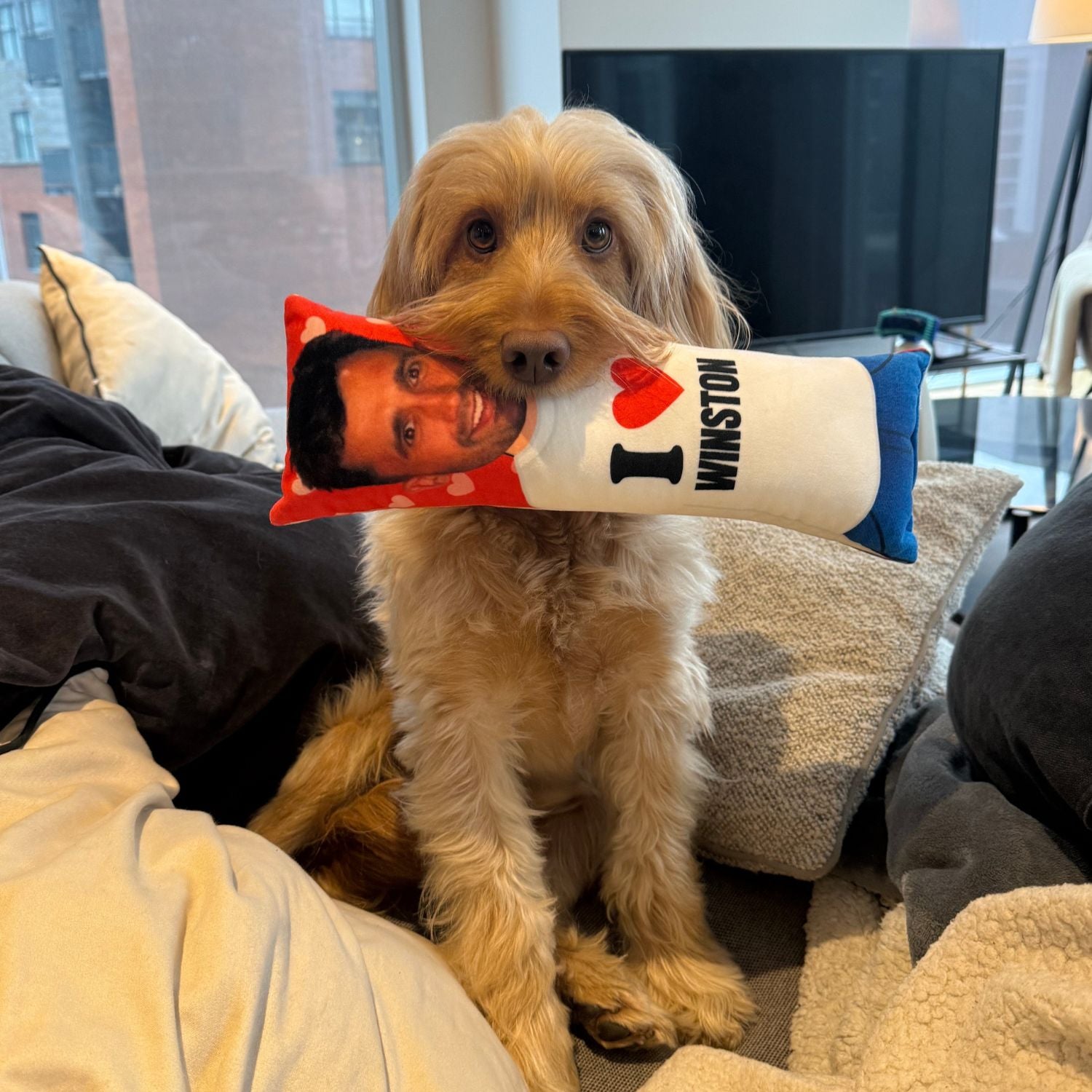 I Heart *Name* Dog Toy Pillow