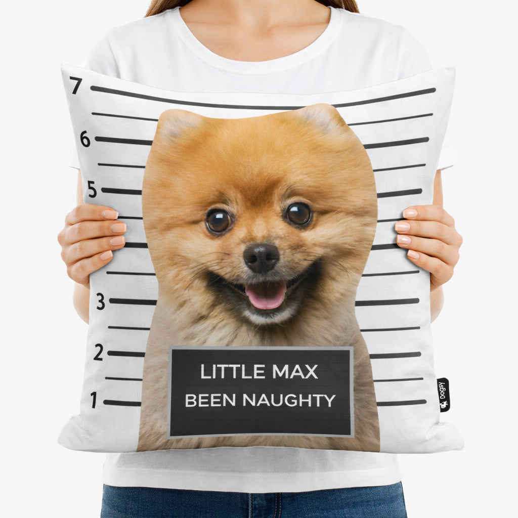 Dogzy Jail Cushion