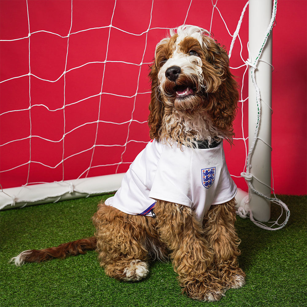 England Football Shirt for Dogs Personalized