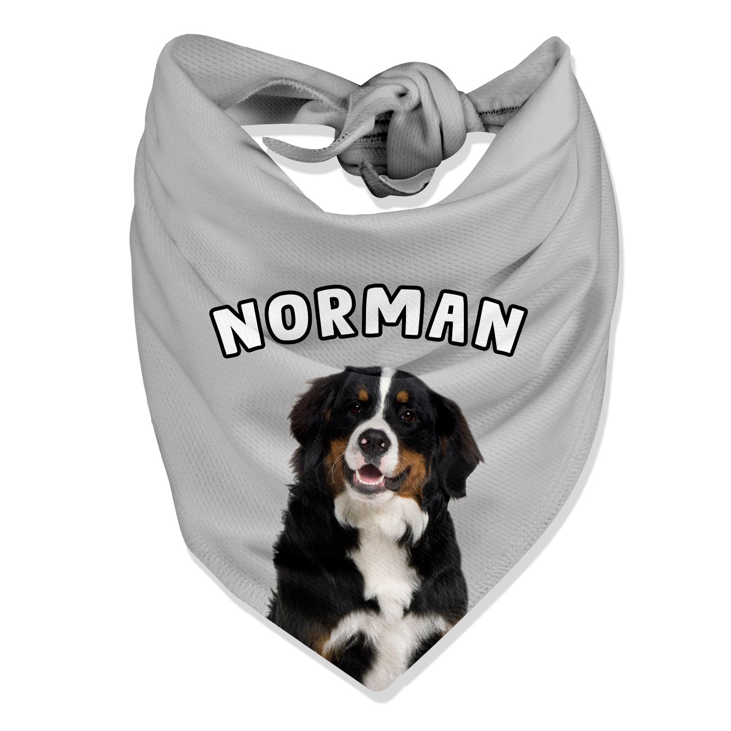 Personalized Name Dog Bandana