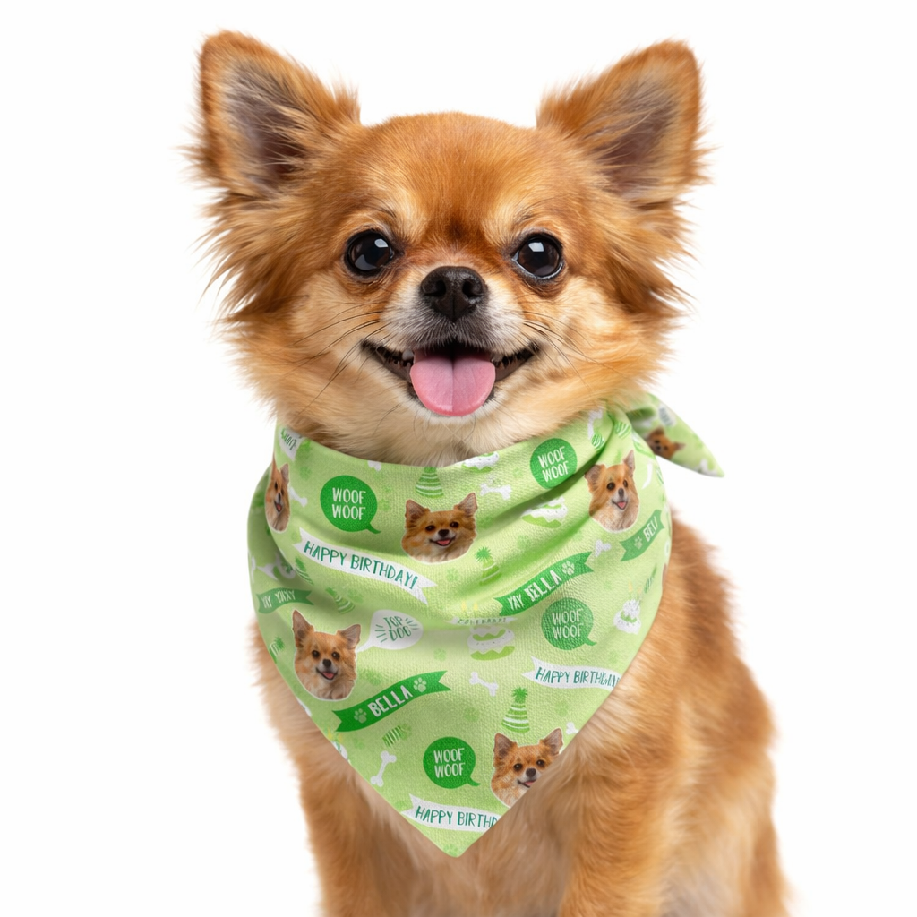 Happy Birthday Personalized Dog Bandana