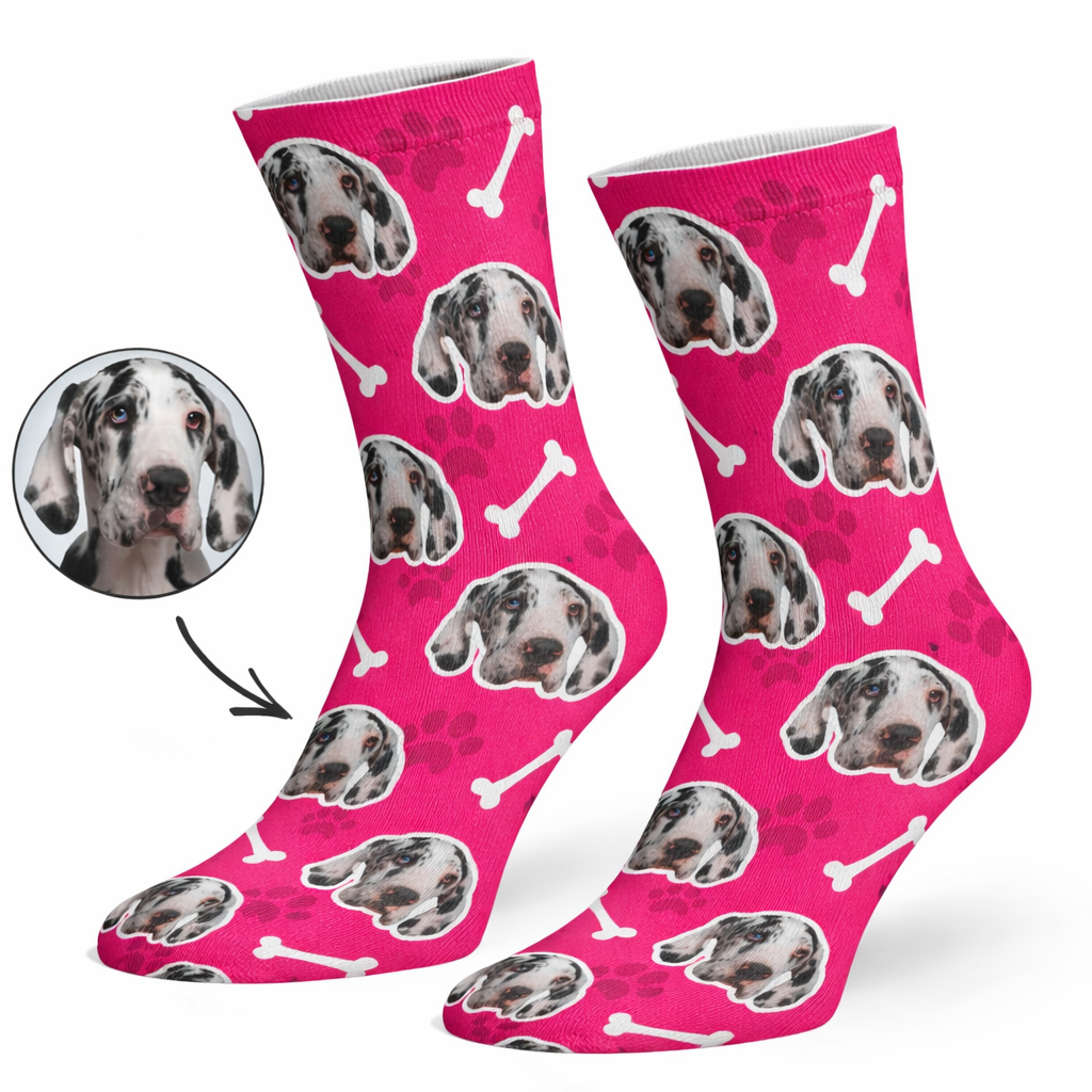 Your Dog on Socks