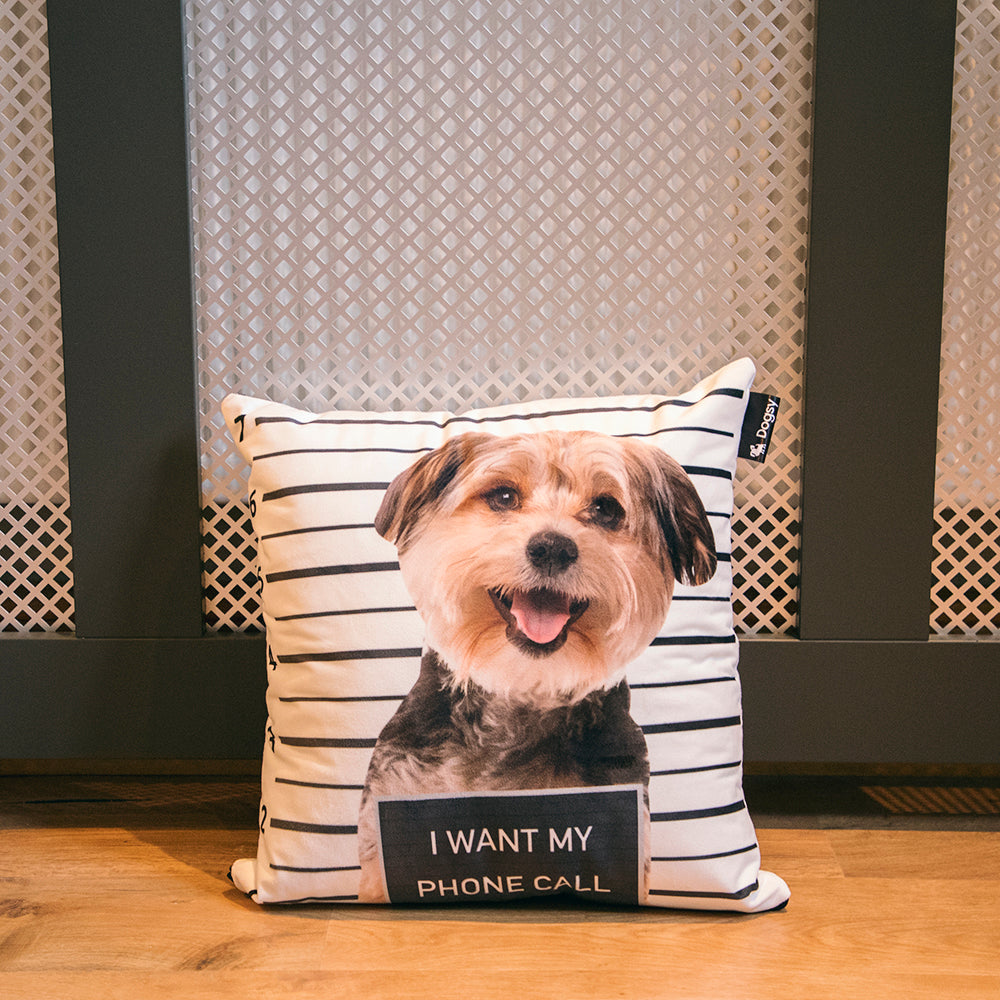 Dog Photo Jail Cushion