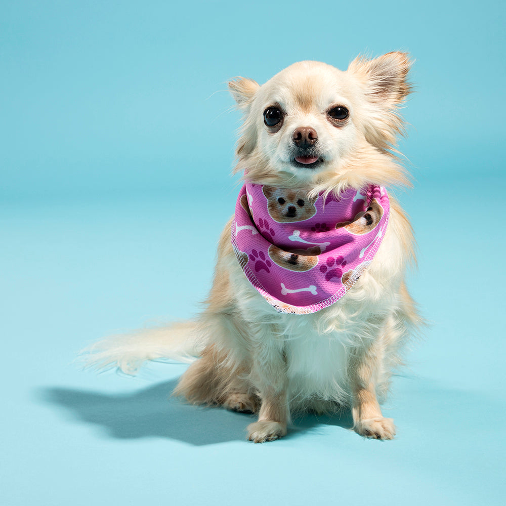 Dog Photo On Bandana