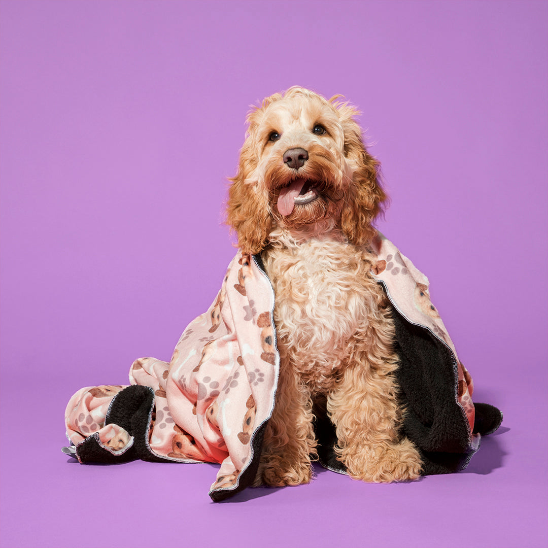 The Dogsy Personalized Dog Blanket