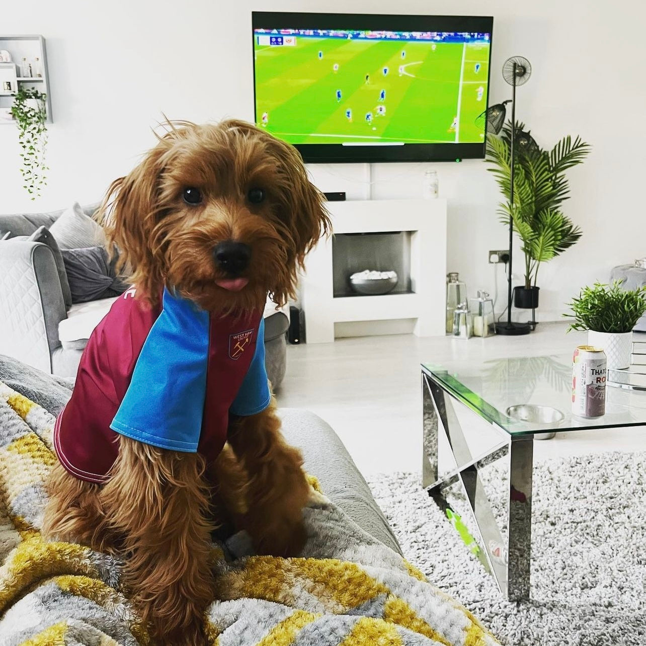 Personalized West Ham Dog Shirt