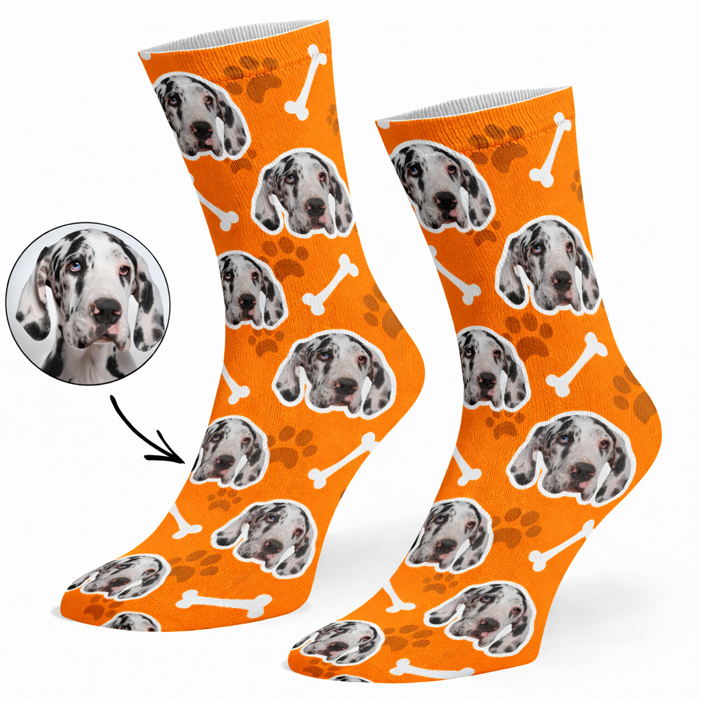 Your Dog on Socks
