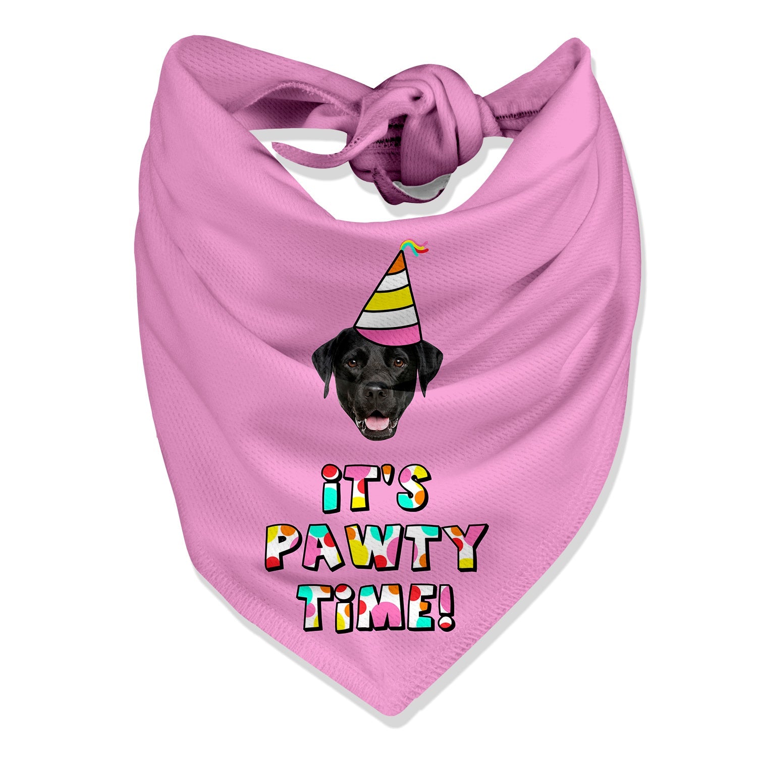 It's Pawty Time Personalized Dog Bandana