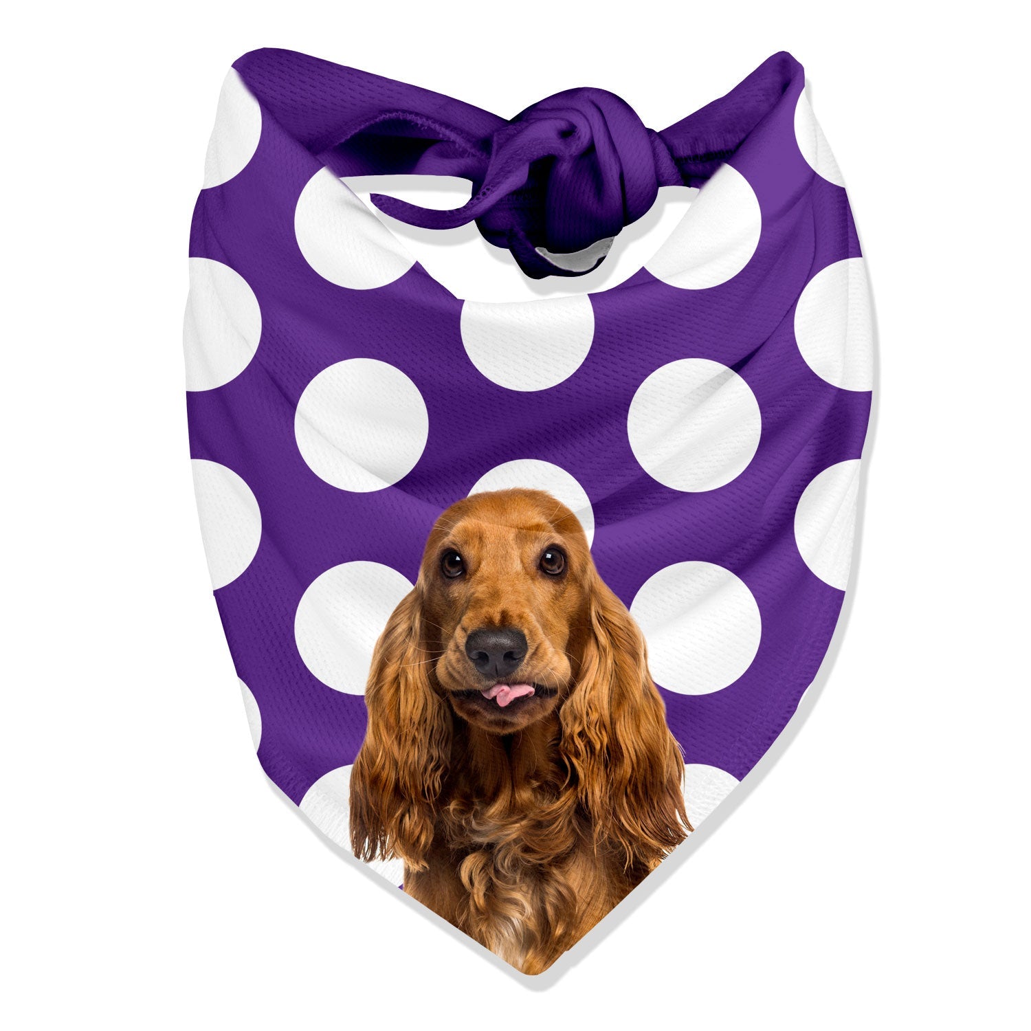 Dogzy Spotty Personalized Dog Bandana
