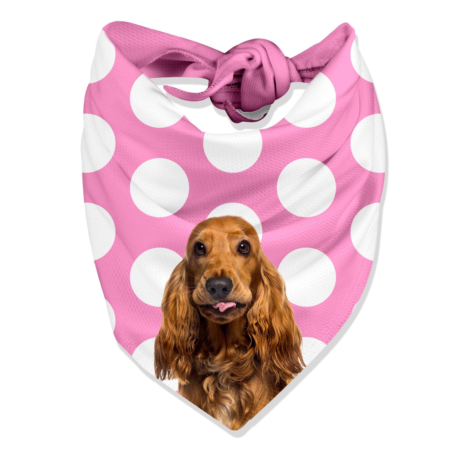 Dogzy Spotty Personalized Dog Bandana
