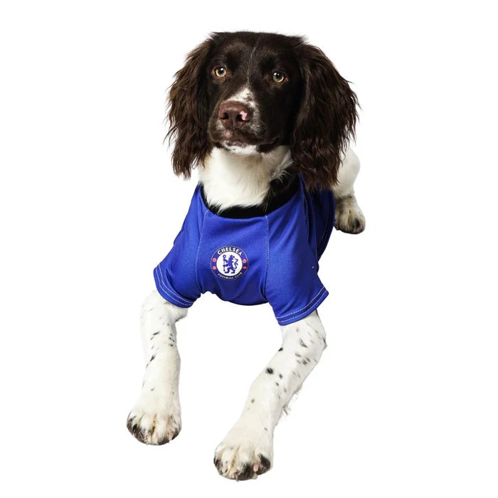 Personalized Chelsea Dog Shirt