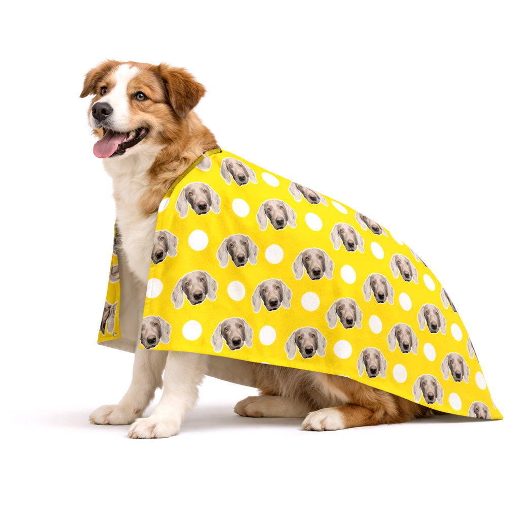 Polka Dot Personalized Dog Towel