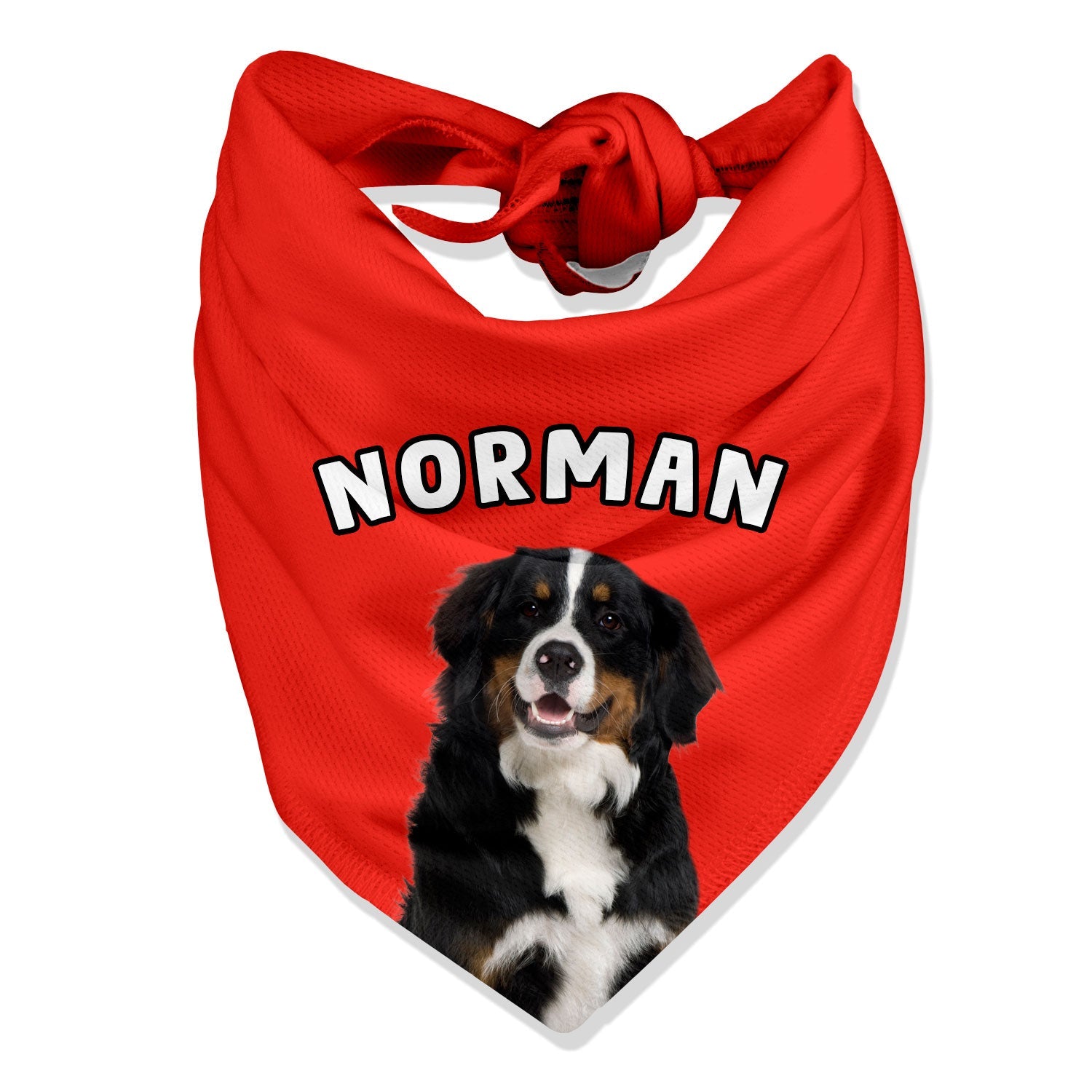 Personalized Name Dog Bandana