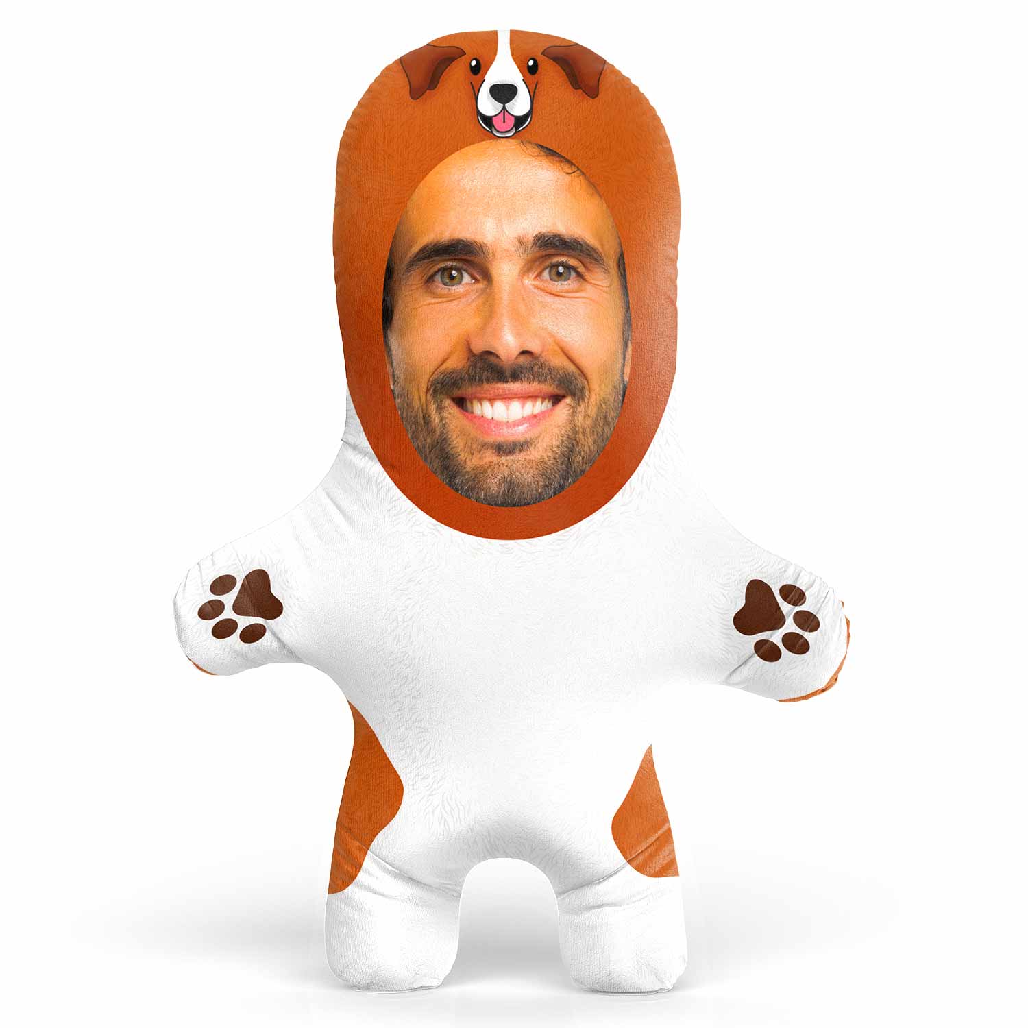 Jack Russell Dog Teddy