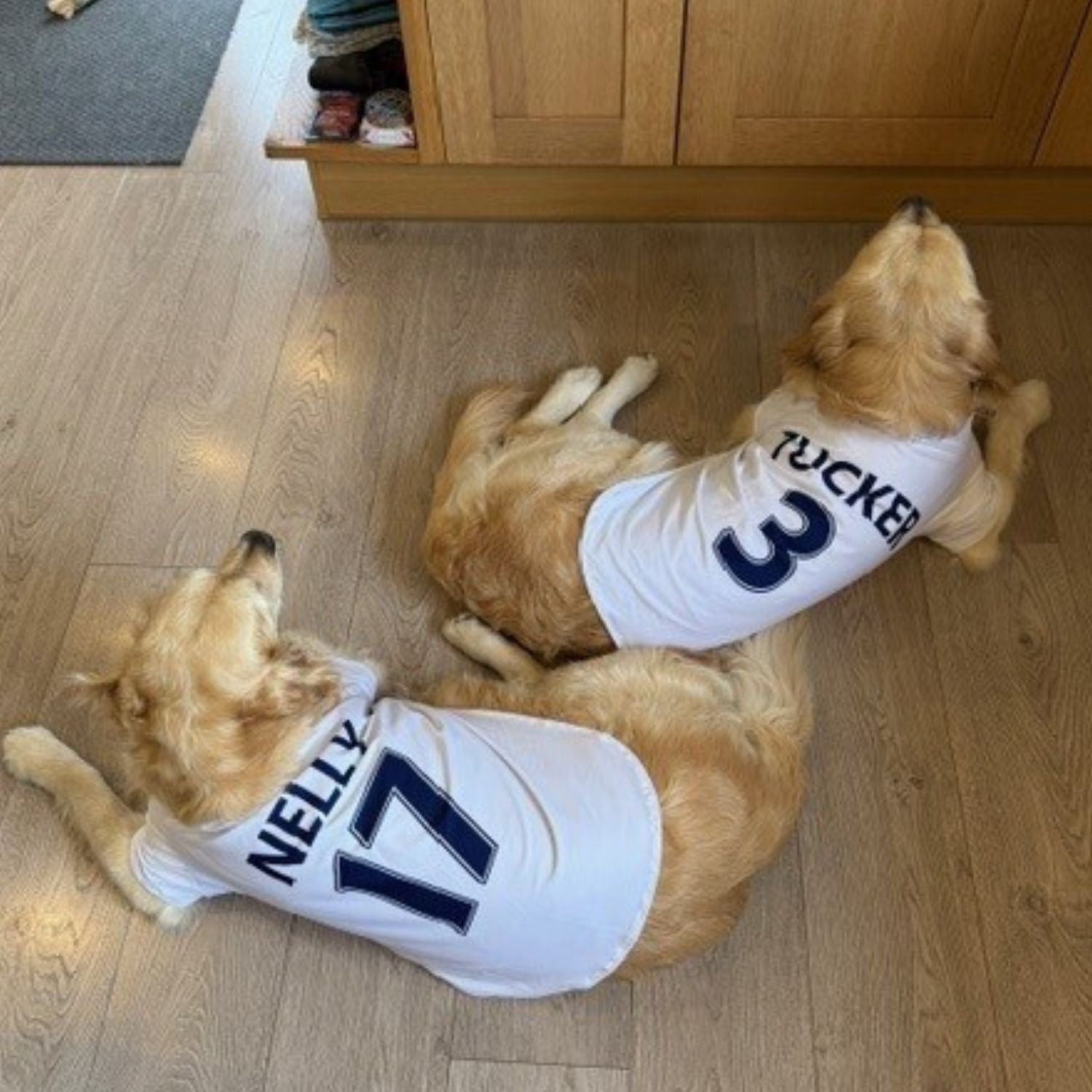 Personalized Spurs Dog Shirt