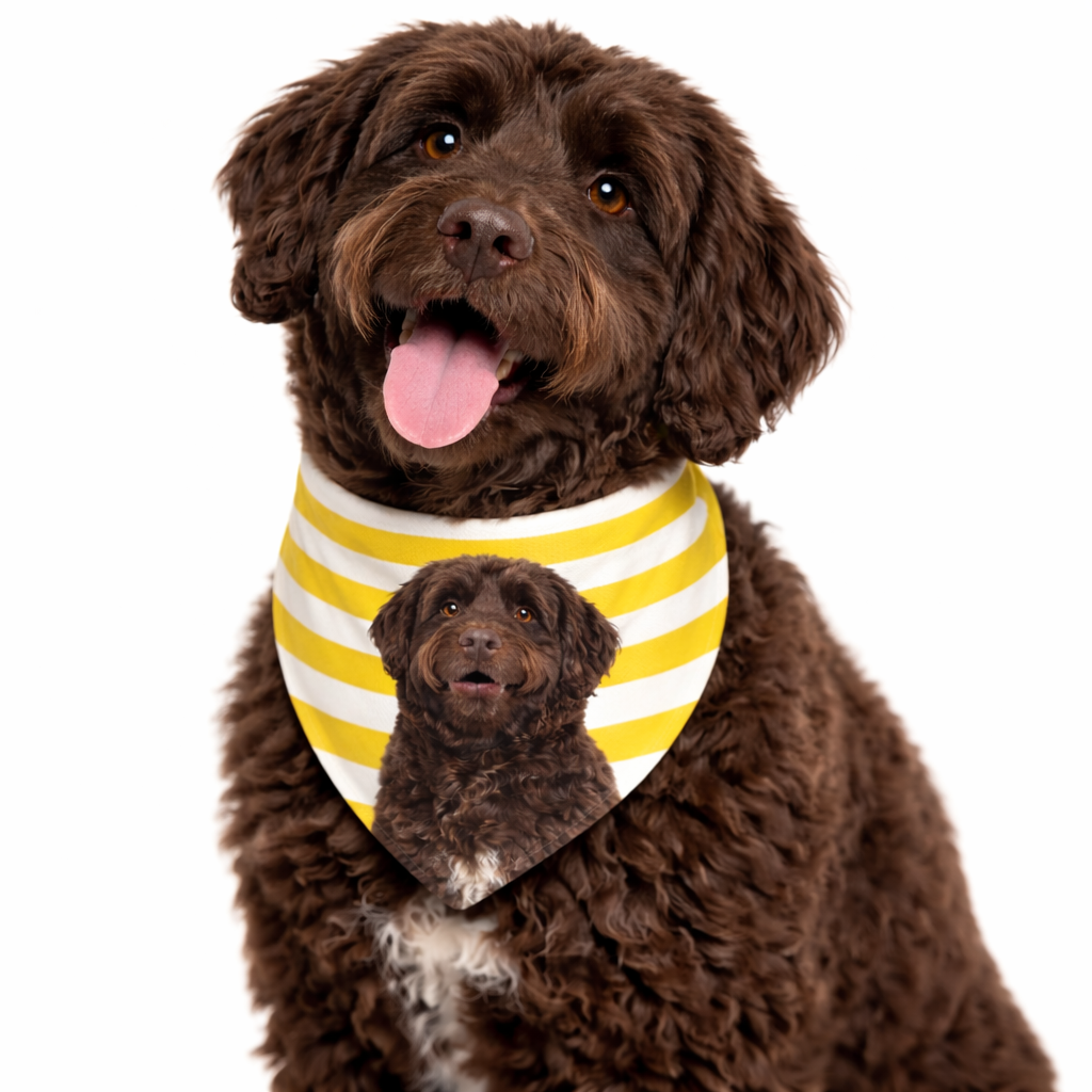 Stripey Personalized Dog Bandana