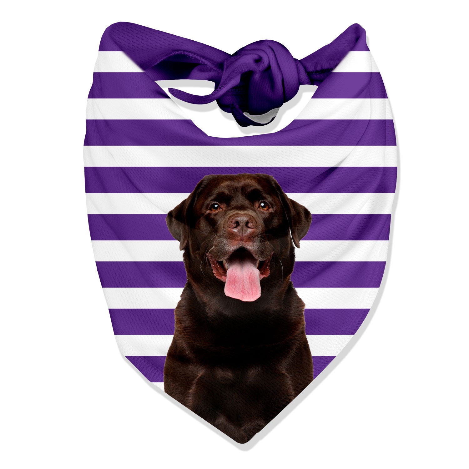 Stripey Personalized Dog Bandana