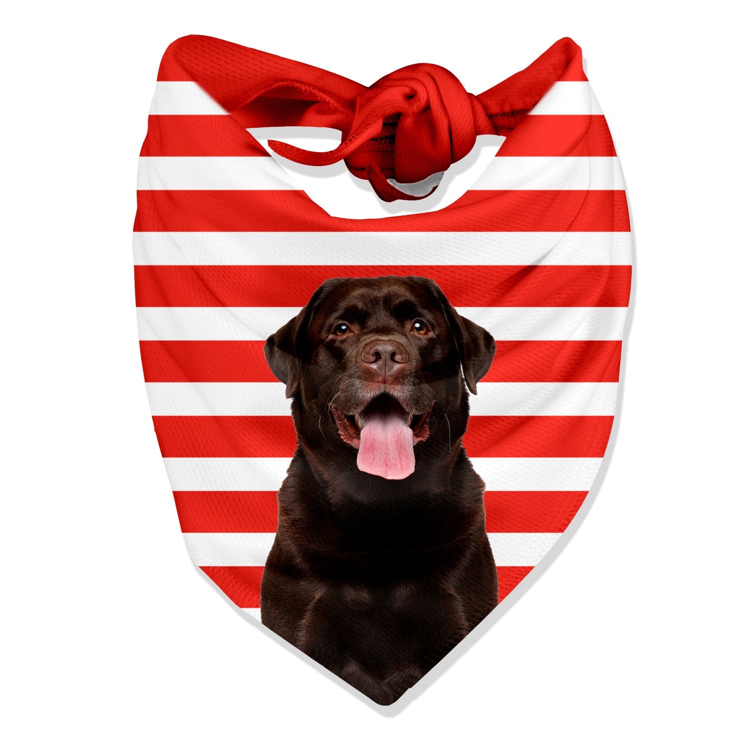 Stripey Personalized Dog Bandana