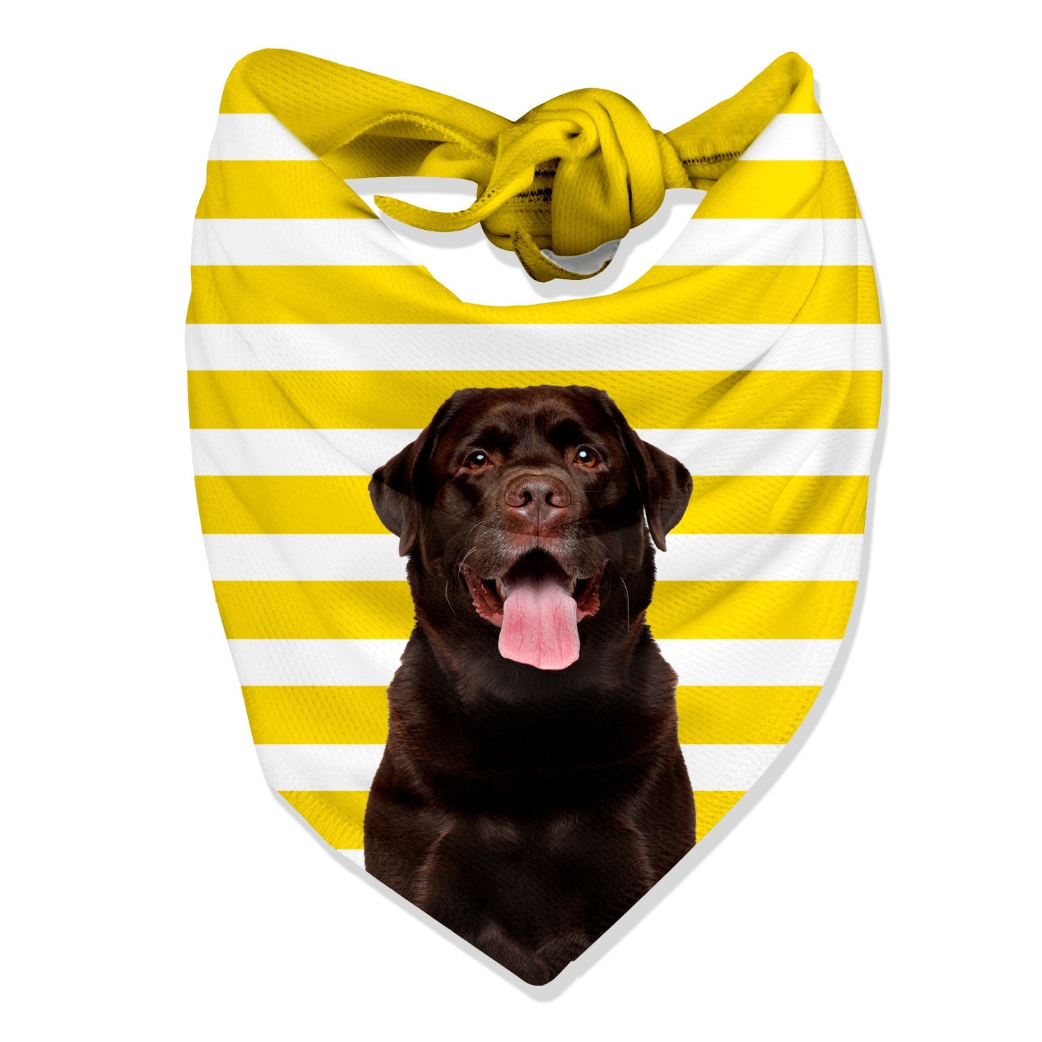 Stripey Personalized Dog Bandana