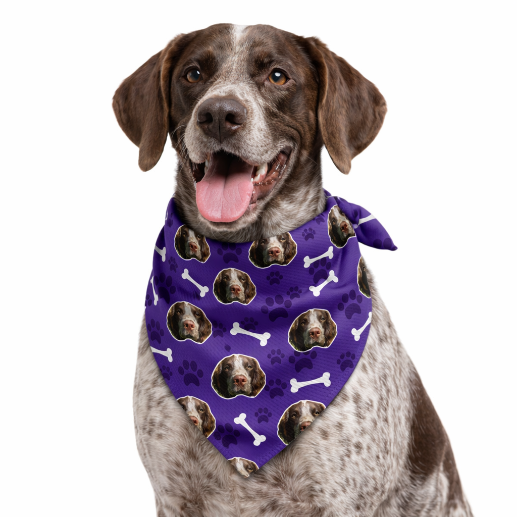 The Dogzy Personalized Dog Bandana