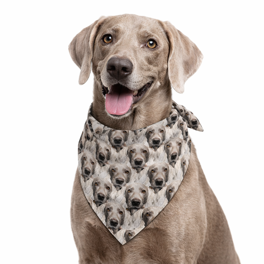 The Dogzy Personalized Mash Up Dog Bandana